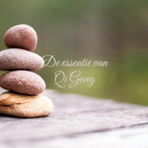 Qi Levensenergie